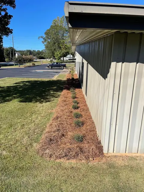 Pine straw bed along a metal building
