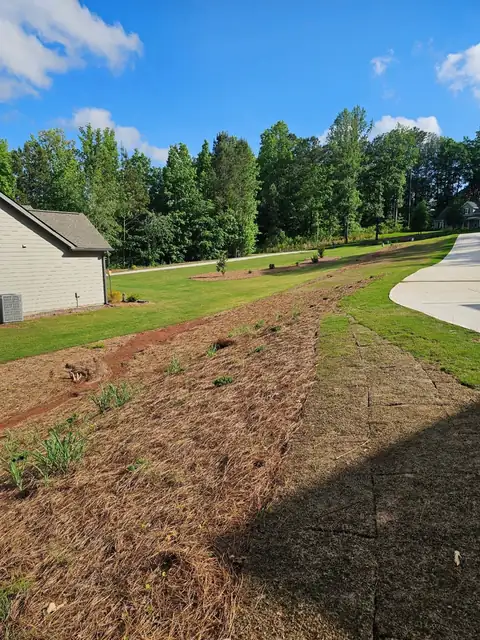 The slope from the bottom, with the lawn below